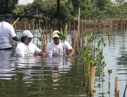 Mitigasi Bencana Pesisir Tangerang Utara, Ratusan Aktivis Tanam Ribuan Mangrove di Tanjung Pasir